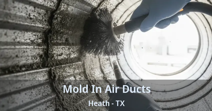 Mold In Air Ducts Heath - TX