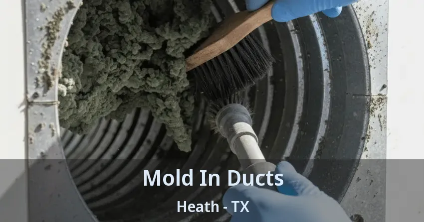 Mold In Ducts Heath - TX
