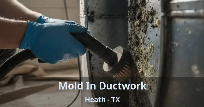 Mold In Ductwork Heath - TX