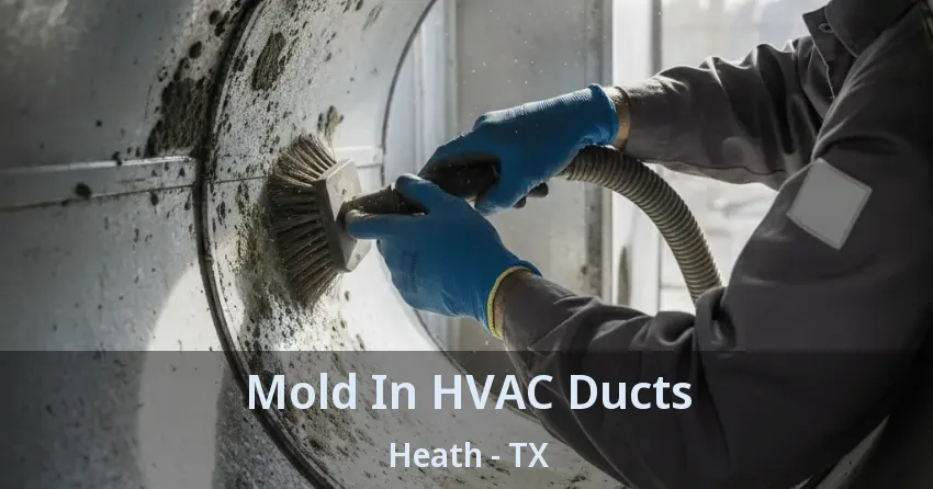 Mold In HVAC Ducts Heath - TX